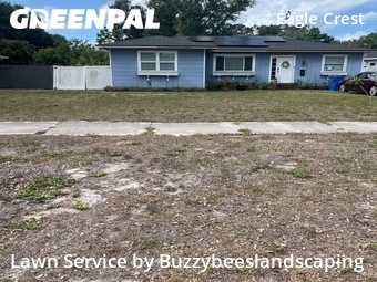 Grass Cutting nearby Saint Petersburg, FL, 