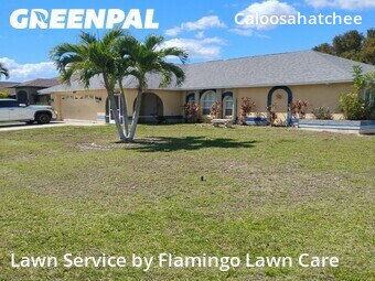 Grass Cutting nearby Cape Coral, FL, 