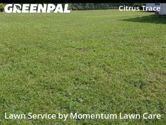 Lawn Care Service nearby Wesley Chapel, FL, 