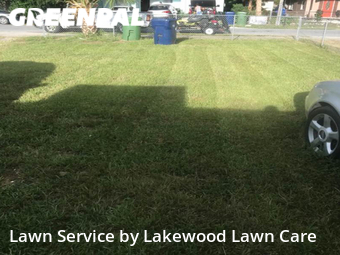 Lawn Cutting nearby Tampa, FL, 