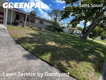 Grass Cut nearby Jacksonville, FL, 