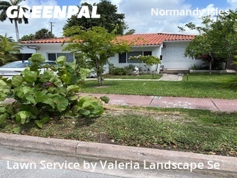 Grass Cut nearby Miami Beach, FL, 