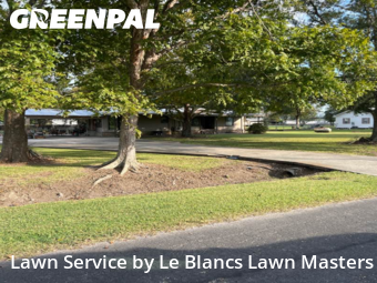 Yard Cutting nearby Saint Martinville, LA, 