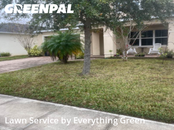 Lawn Cutting in Port Orange, 32128, Turf Services by Everything Green , work completed in Dec , 2025