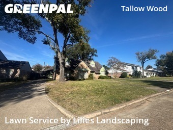 Lawn Mowing nearby Houston, TX, 