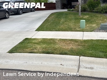 Lawn Care nearby Windsor, CO, 