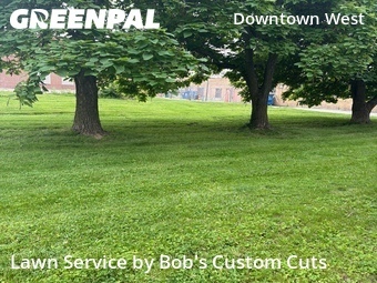 Yard Mowing nearby St. Louis, MO, 