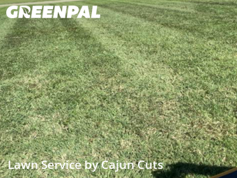 Lawn Maintenance nearby Murfreesboro, TN, 