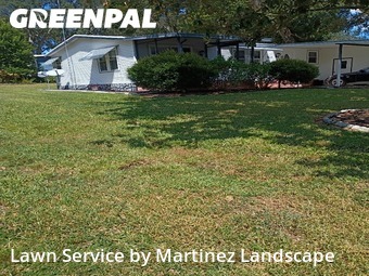 Yard Upkeep in Lady Lake, 32159, Yard Care by Martinez Landscape, work completed in Dec , 2025