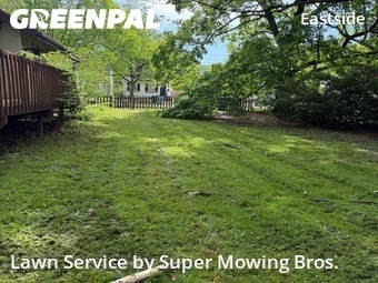 Grass Cut nearby Lansing, MI, 