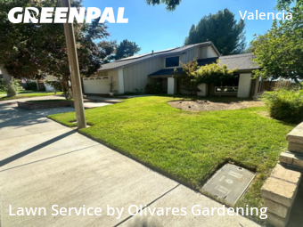 affordable-lawn-services-in-Venice-CA