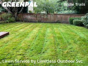 Lawn Servicein Bellevue,98007,Lawn Cut by Limitless Outdoor Svc, work completed in Dec , 2025