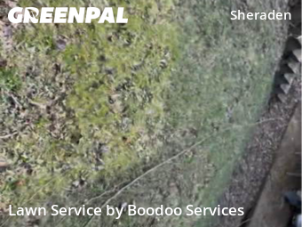 Lawn Mow nearby Pittsburgh, PA, 