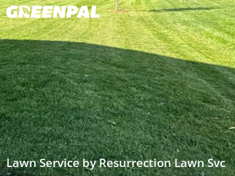 Yard Cutting nearby Greensboro, NC, 