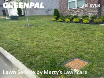 Yard Mowing nearby Nashville, TN, 