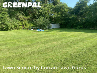Lawn Service nearby Belleville, IL, 
