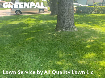 Grass Cut nearby Saint Charles, MO, 