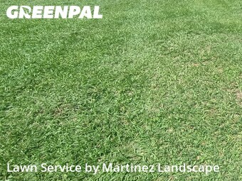 Lawn Care Service nearby Clermont, FL, 