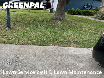 Lawn Cut nearby Haines City, FL, 