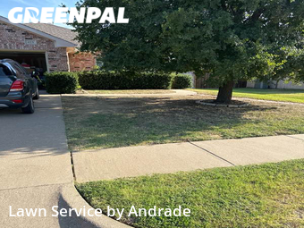 Lawn Mow nearby Burleson, TX, 