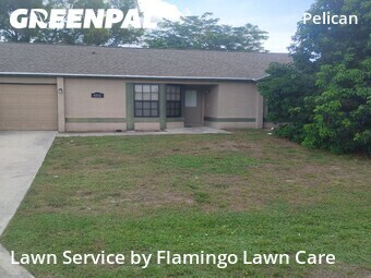 Yard Cutting nearby Cape Coral, FL, 