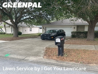 Grass Cut nearby Minneola, FL, 