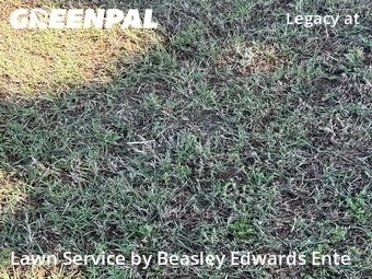 Lawn Care Service nearby Cary, NC, 