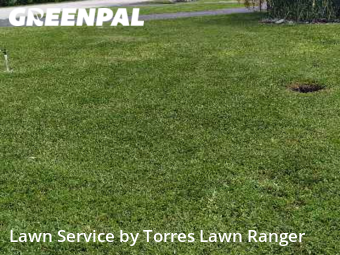 Yard Mowing nearby Palmetto Bay, FL, 