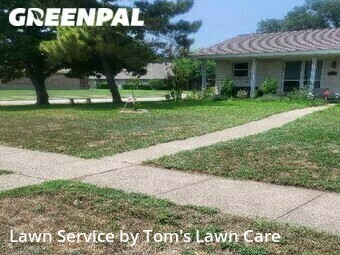 Lawn Cut nearby Richardson, TX, 