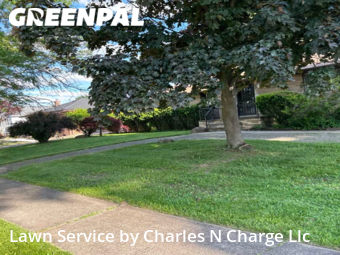 Lawn Mow nearby Parma, OH, 