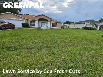 Lawn Cutting nearby Ocala, FL, 