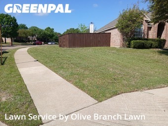 Grass Cut nearby Keller, TX, 