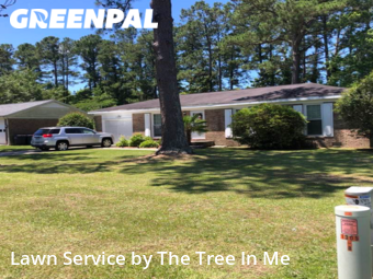 Grass Cut nearby Jacksonville, NC, 