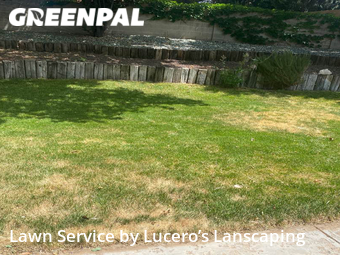 Lawn Care nearby Albuquerque, NM, 