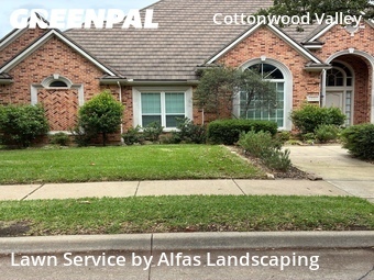 Lawn Mowingin Irving,75038,Lawn Cut by Alfas Landscaping, work completed in Jun , 2026