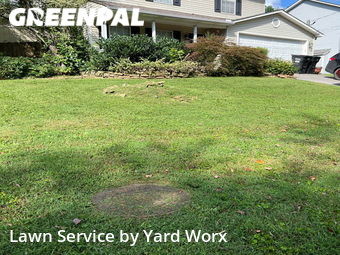 Yard Cutting nearby Knoxville, TN, 