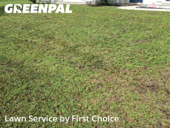 Lawn Mowing Service nearby Palm Coast, FL, 