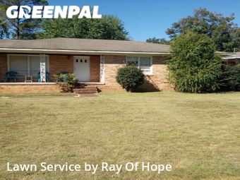 Lawn Cut nearby Tuscaloosa, AL, 
