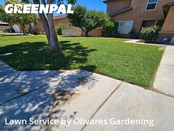 Local Lawn And Landscape Maintenance Services Near Me In Lancaster,93535,Landscaping Services by Olivares Gardening , work completed in Jun , 2026