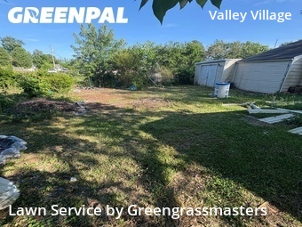 Grass Cut nearby Louisville, KY, 