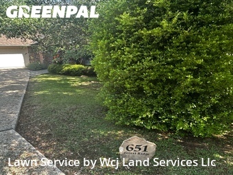 Lawn Cut nearby New Braunfels, TX, 