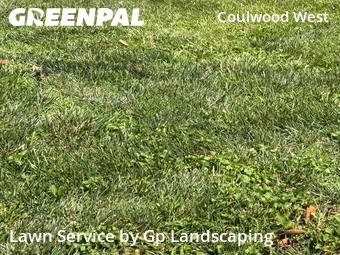 Lawn Cut nearby Charlotte, NC, 