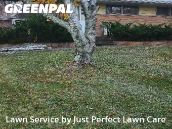 Lawn Cutting nearby Parma, OH, 