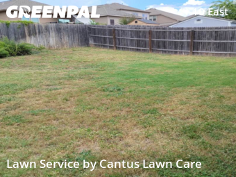 Lawn Service nearby Converse, TX, 