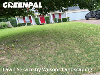 Grass Cut nearby Cordova, TN, 