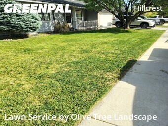 Yard Mowing nearby Boise, ID, 