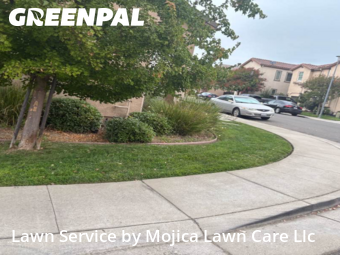 Work completed by grass-care-professionals-in-Folsom-CA