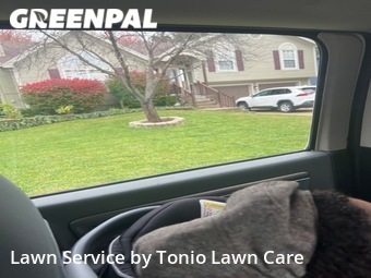 Lawn Service nearby Kansas City, KS, 