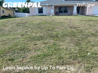 Yard Cutting nearby Cape Coral, FL, 