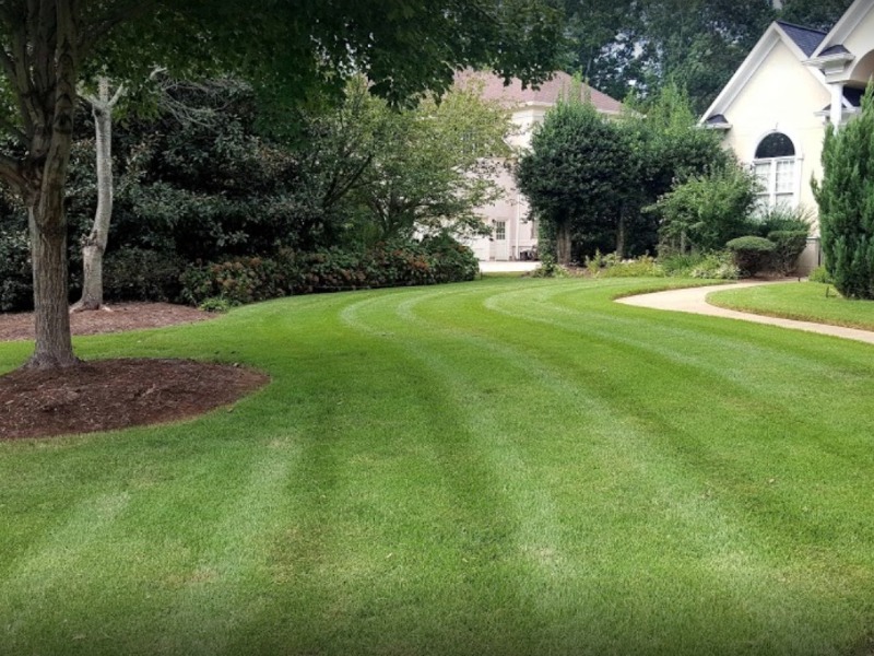 Shane Hall Lawn Care Services in Janesville, WI
